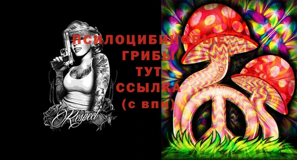 МДПВ Гусиноозёрск