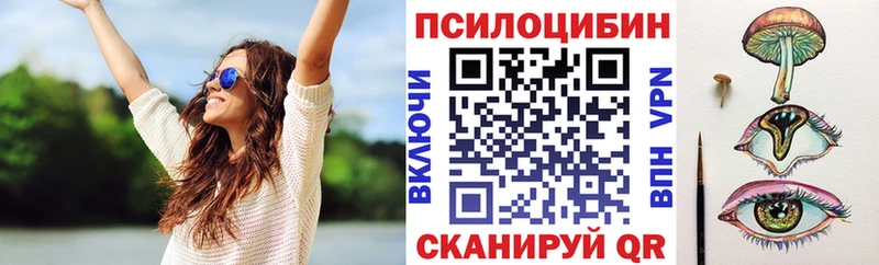 Галлюциногенные грибы мухоморы  купить наркоту  Норильск 